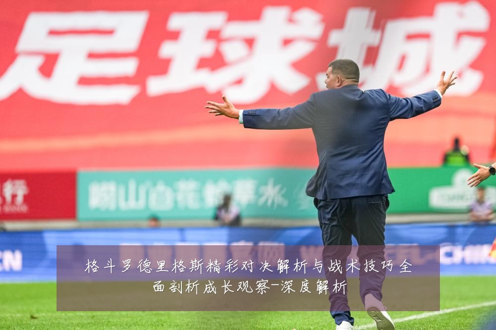 格斗罗德里格斯精彩对决解析与战术技巧全面剖析成长观察-深度解析